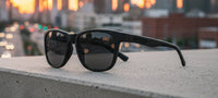 Tifosi Optics - Swank